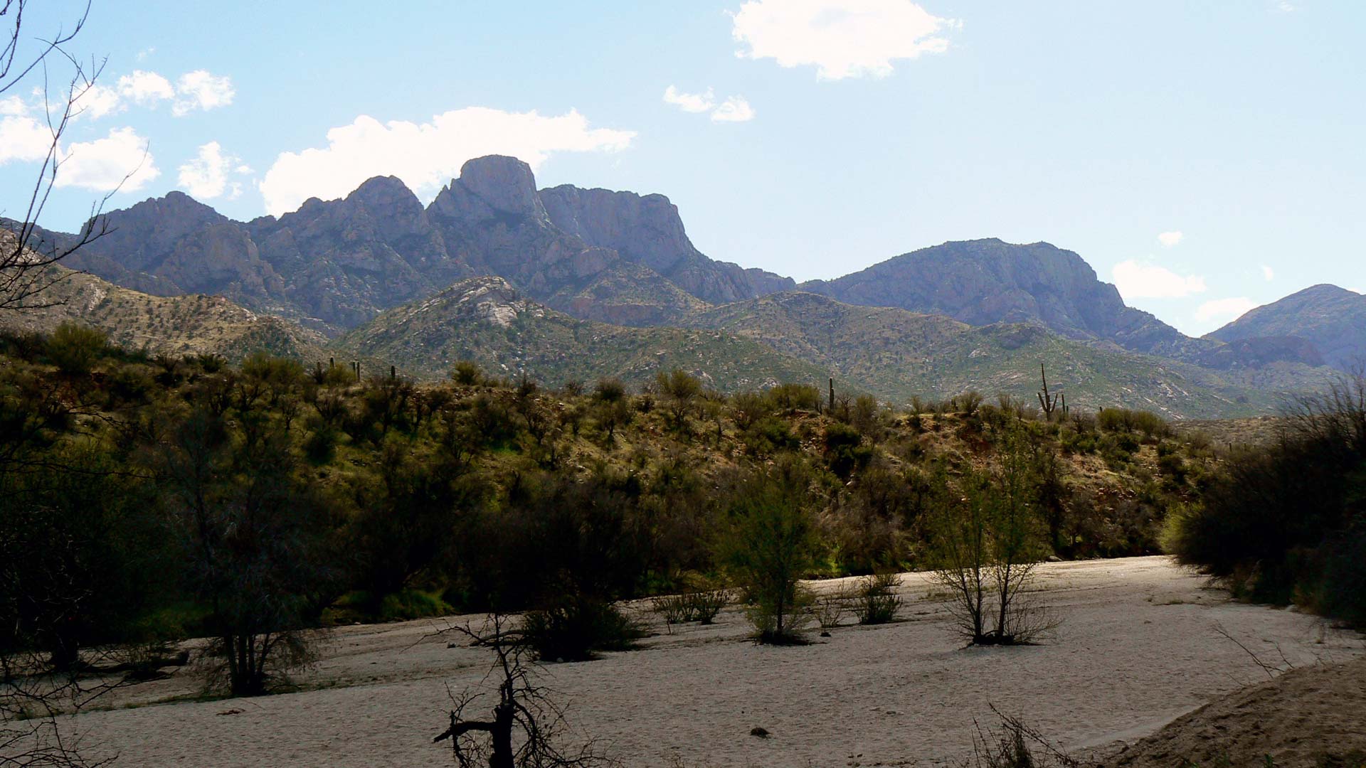 Catalina State Park