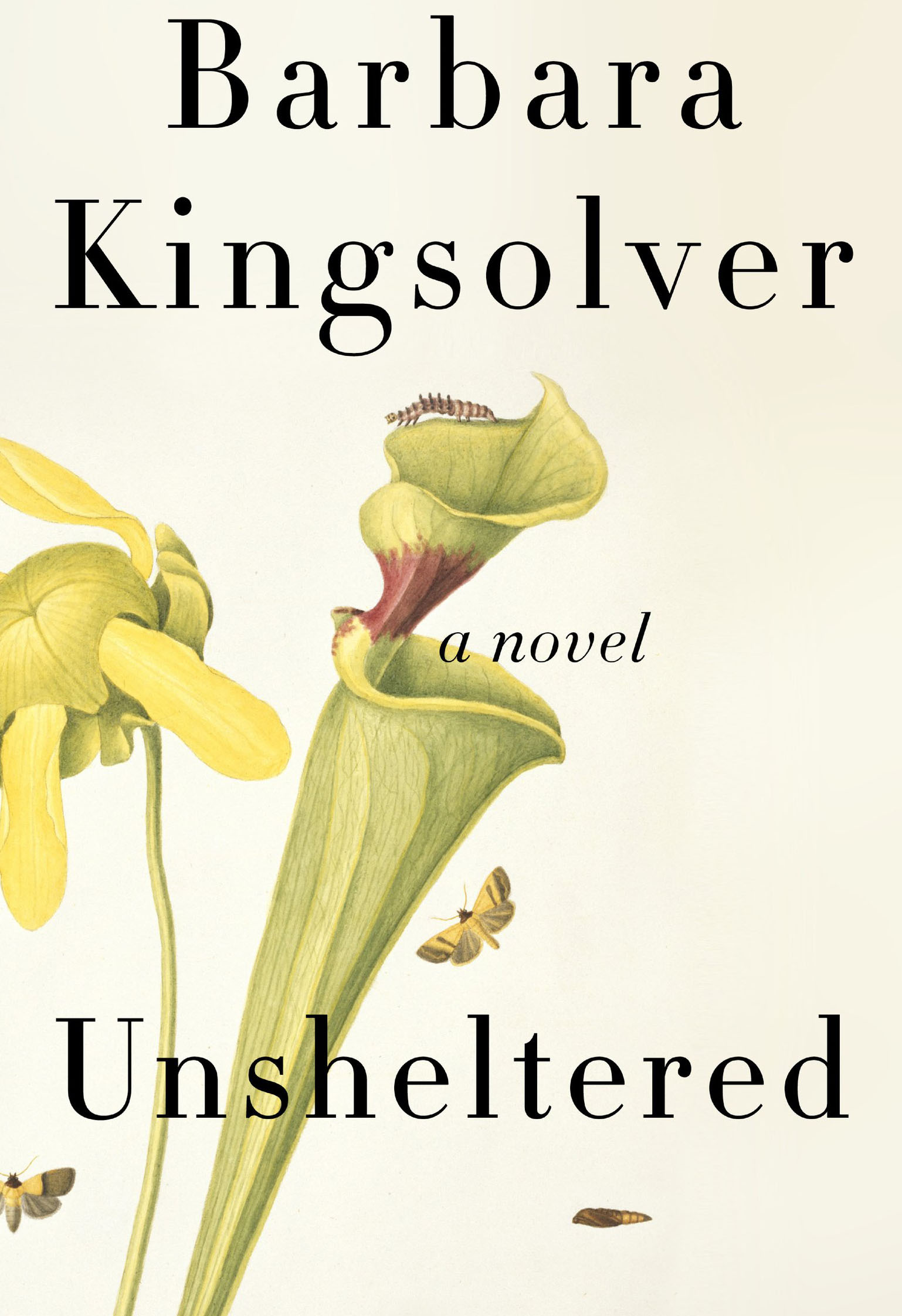 kingsolver unsheltered book jacket