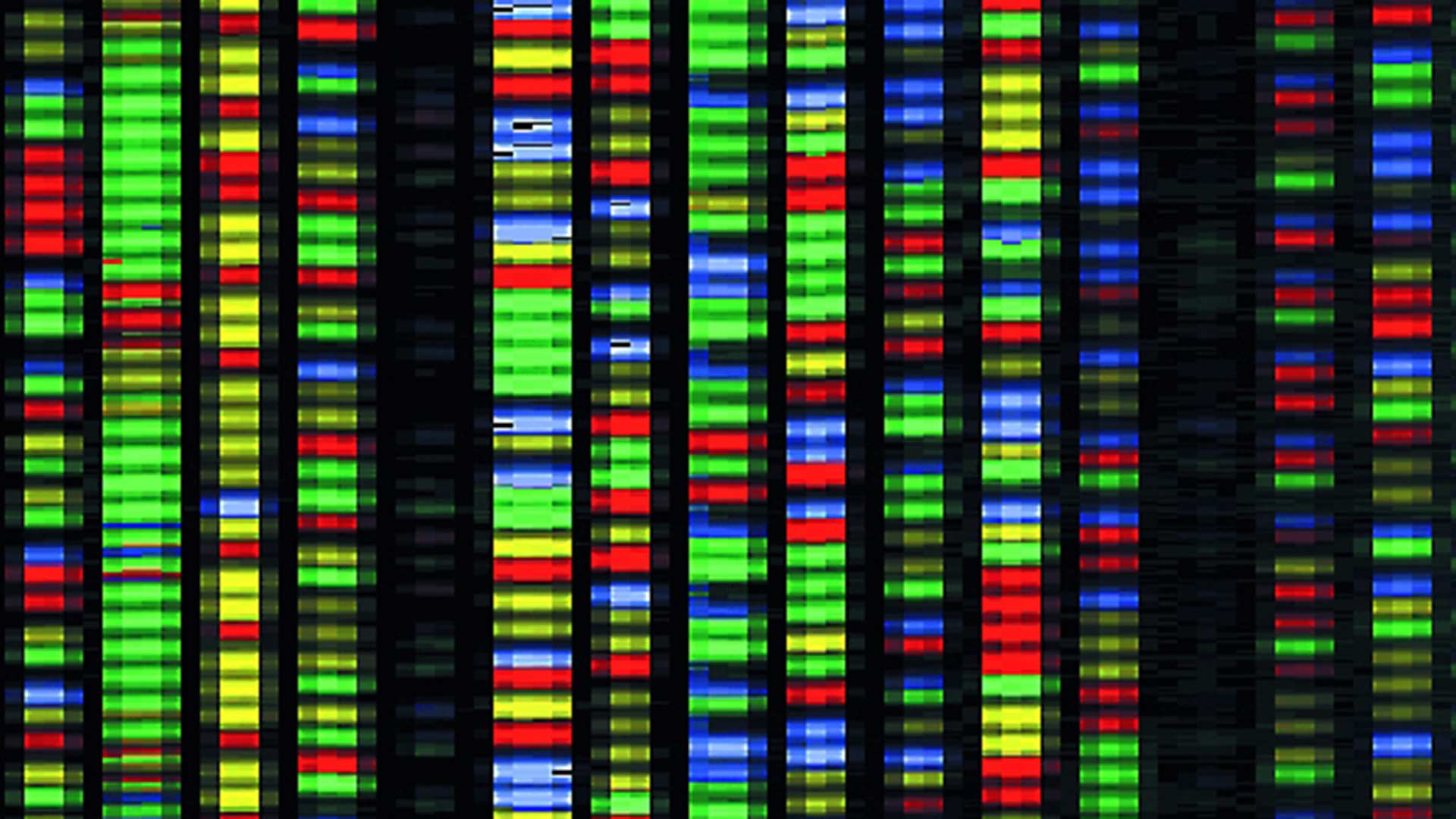 Portion of an image produced by software that performs DNA sequencing.