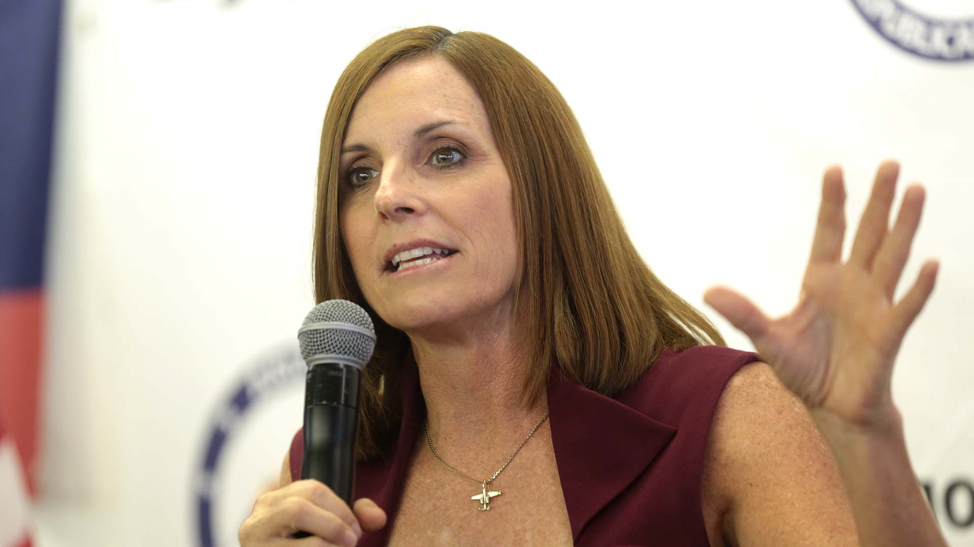 McSally 2018