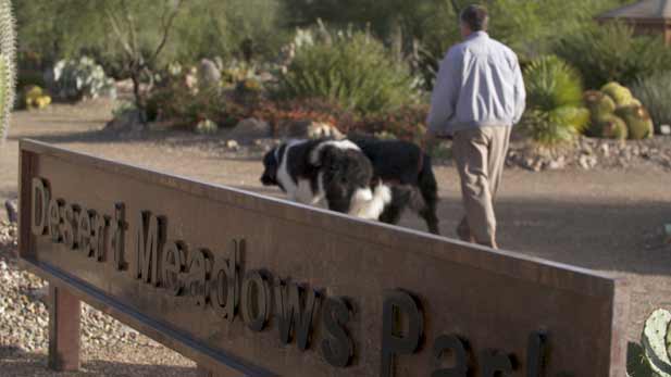 Desert Meadows Park