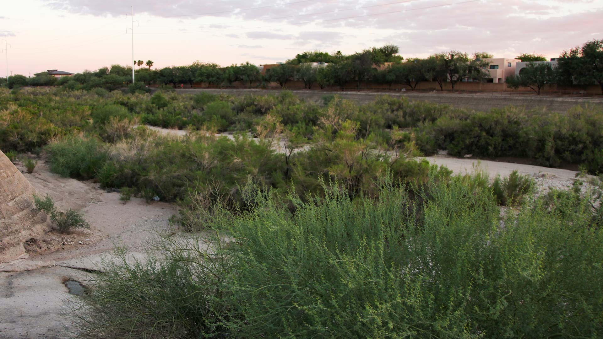 The Rillito River runs dry at the end of the rainy season in Tucson.