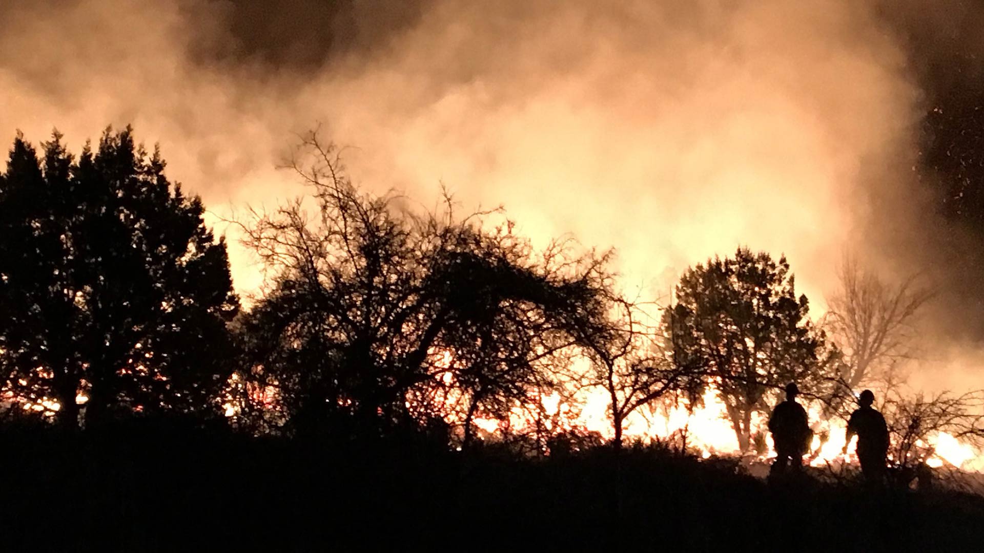 Firefighters work to contain the Knob Hill Fire, February 2018.