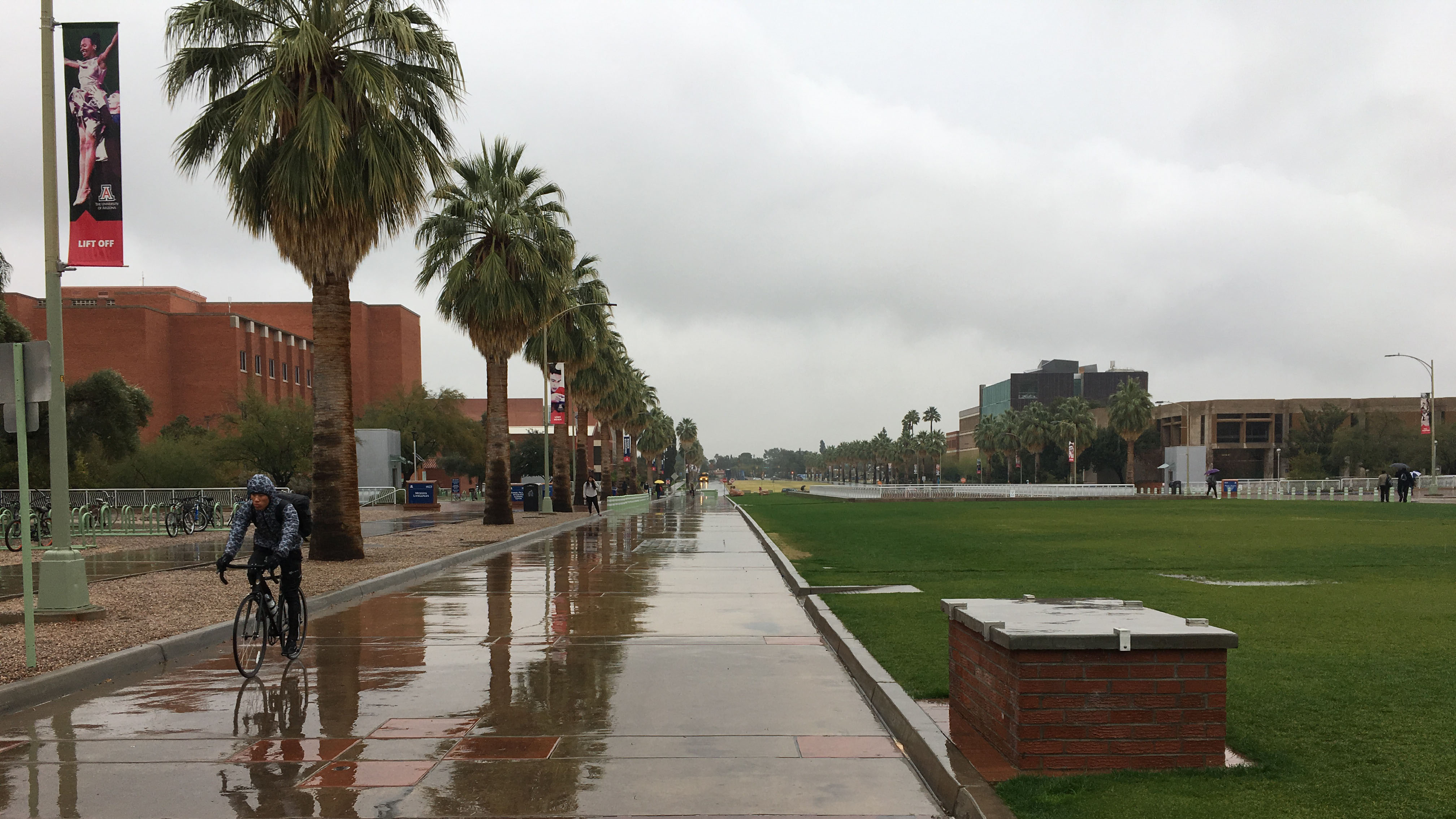 The University of Arizona campus was wet and grey after several days of rain in Feburary 2018.
