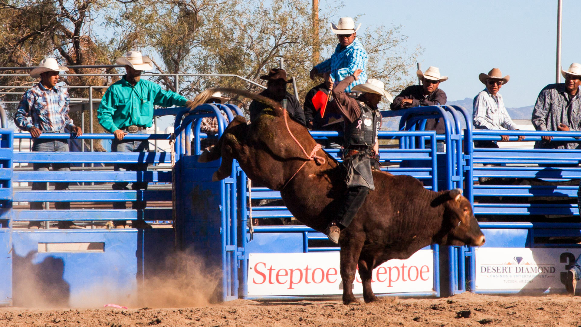 A bullrider at the Tohono O'odham Rodeo and Fair, Saturday, Feb. 3, 2018.