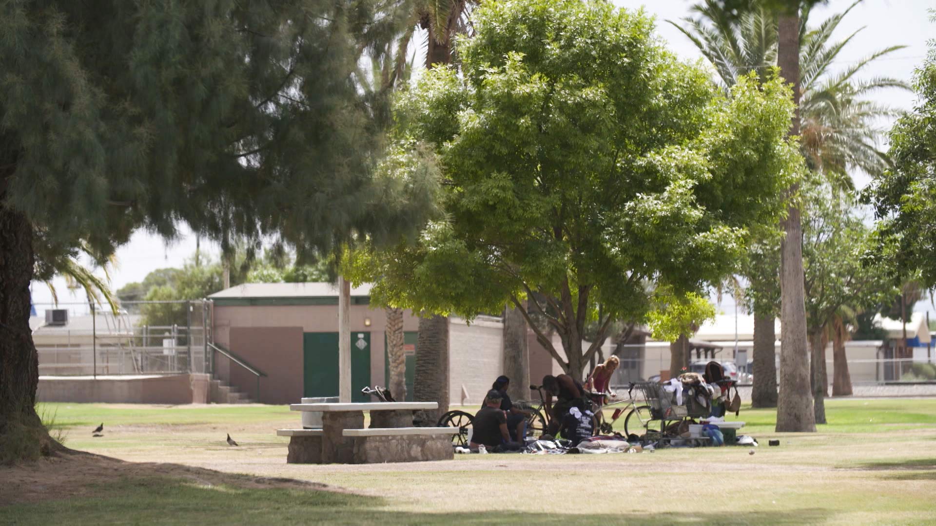 A group hangs out in the shade in Santa Rita Park in Tucson.
