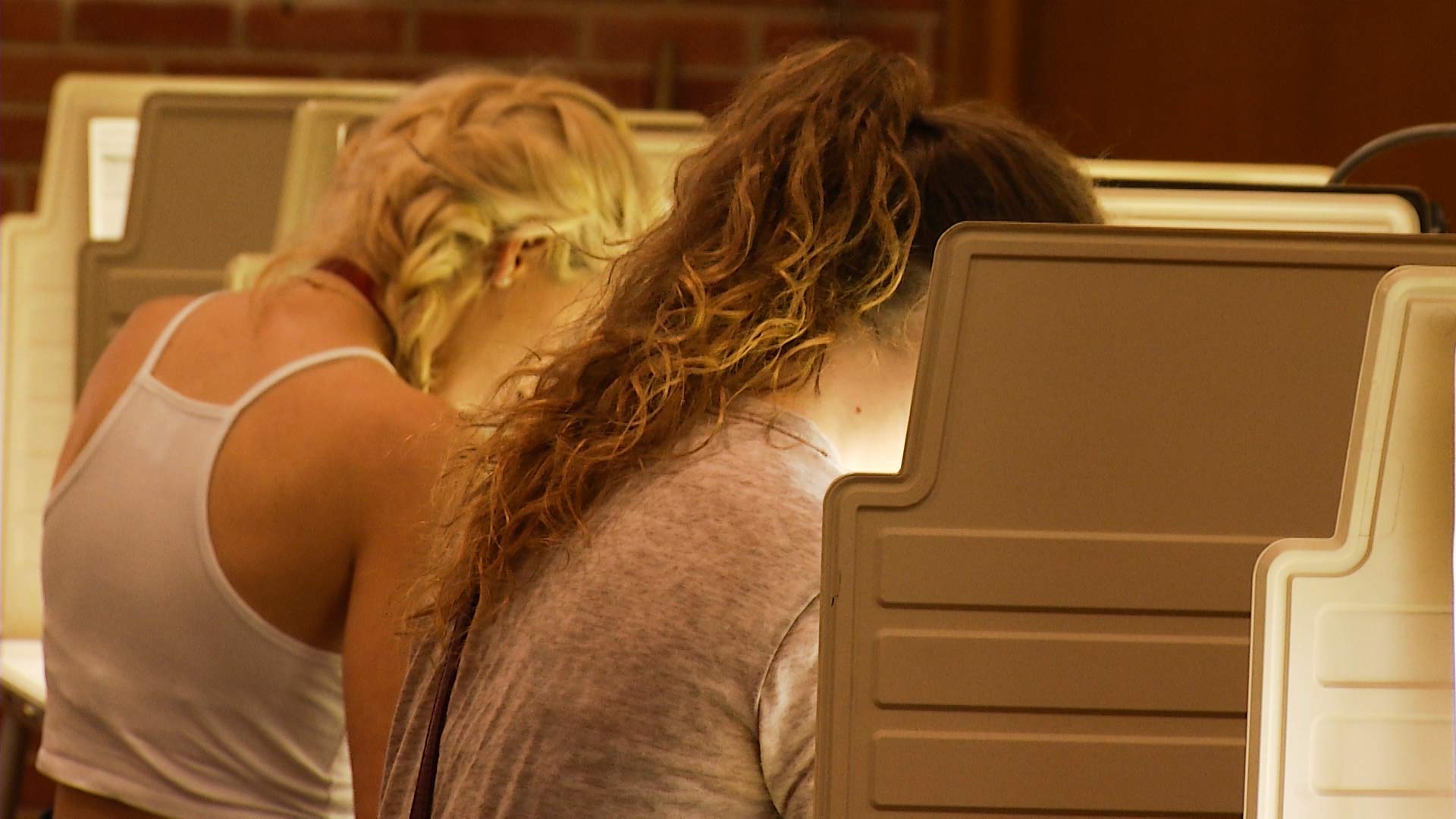 Voters cast their ballots at voting booths.