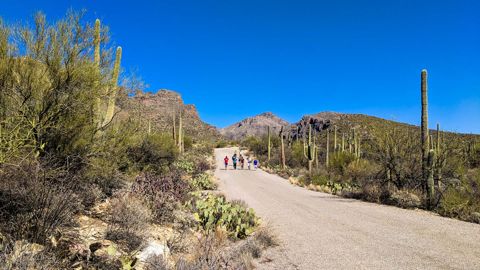 Walking down the road near the Bear Canyon Trail in the Sabino Canyon Recreation Area, February 2018.