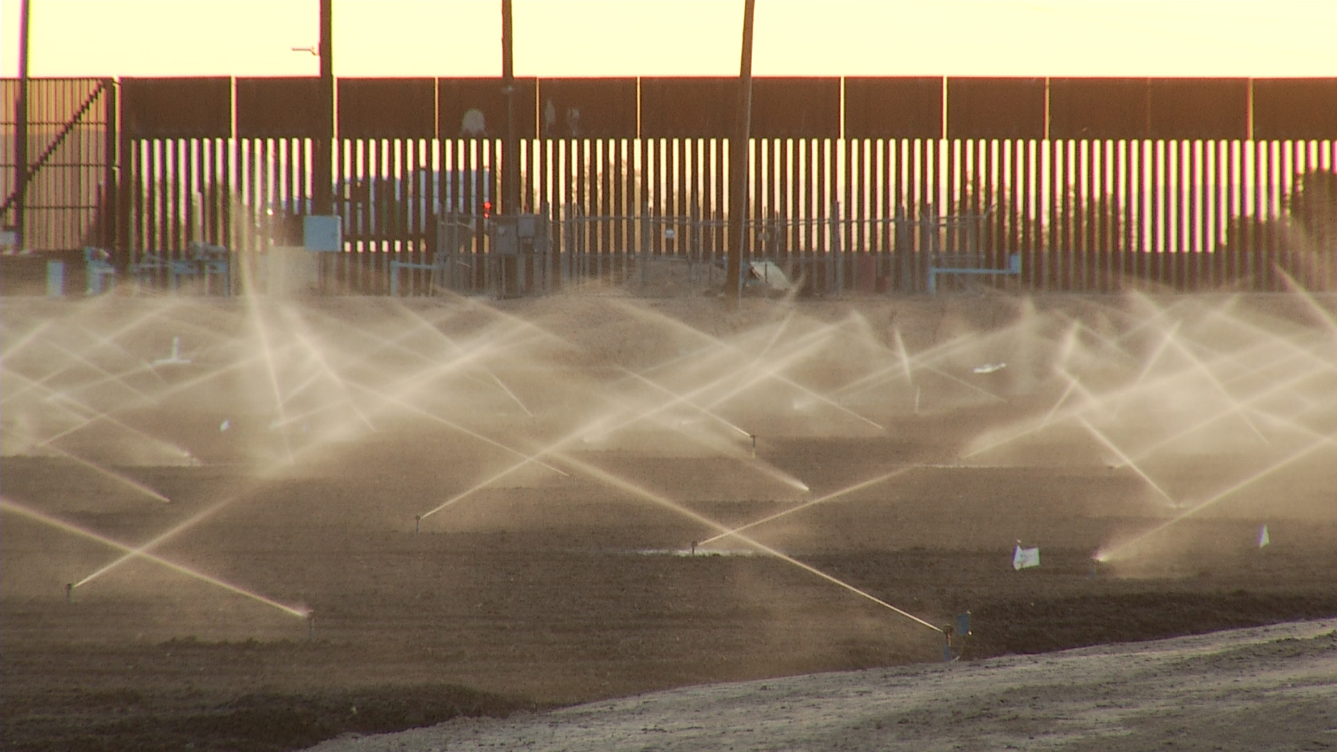 Watering at a Yuma farm, 2014.