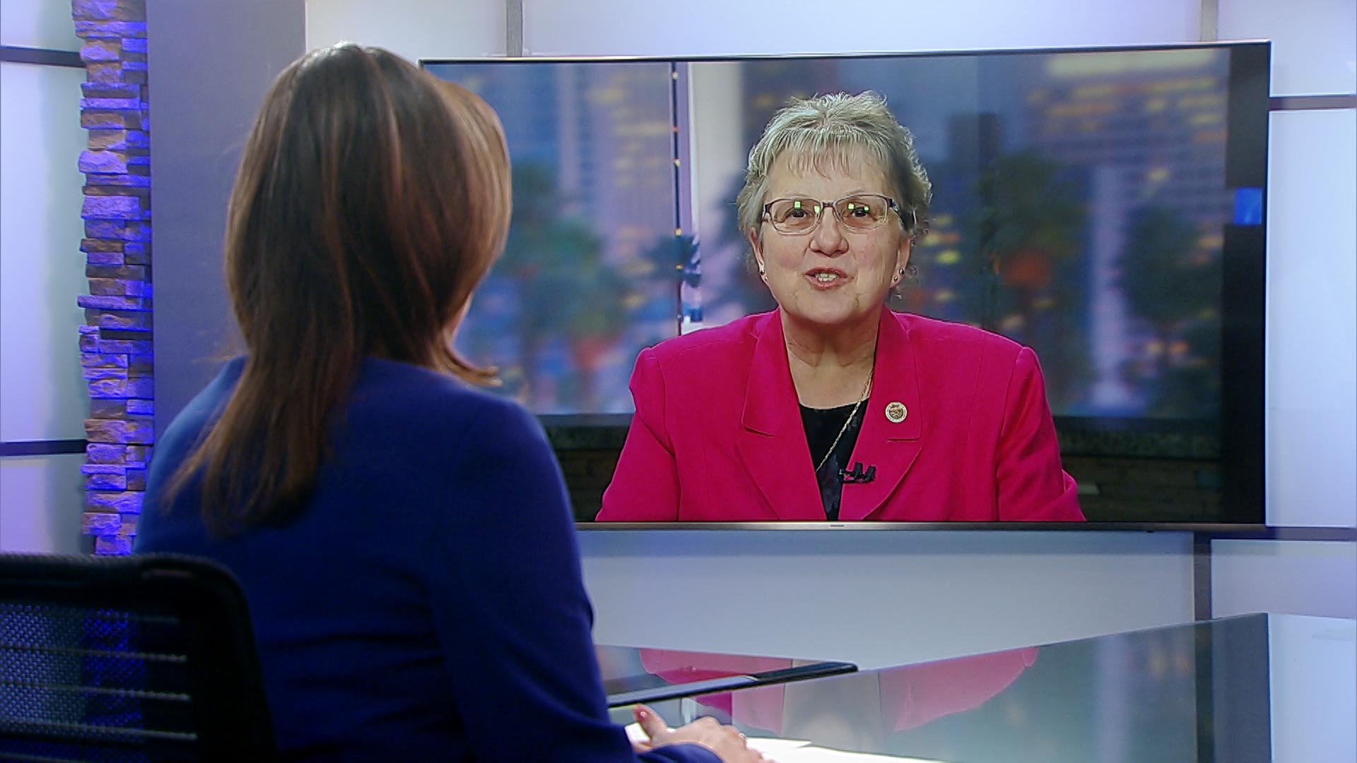 Arizona Superintendent of Public Instruction Diane Douglas interviewed by Arizona 360 in March 2018.