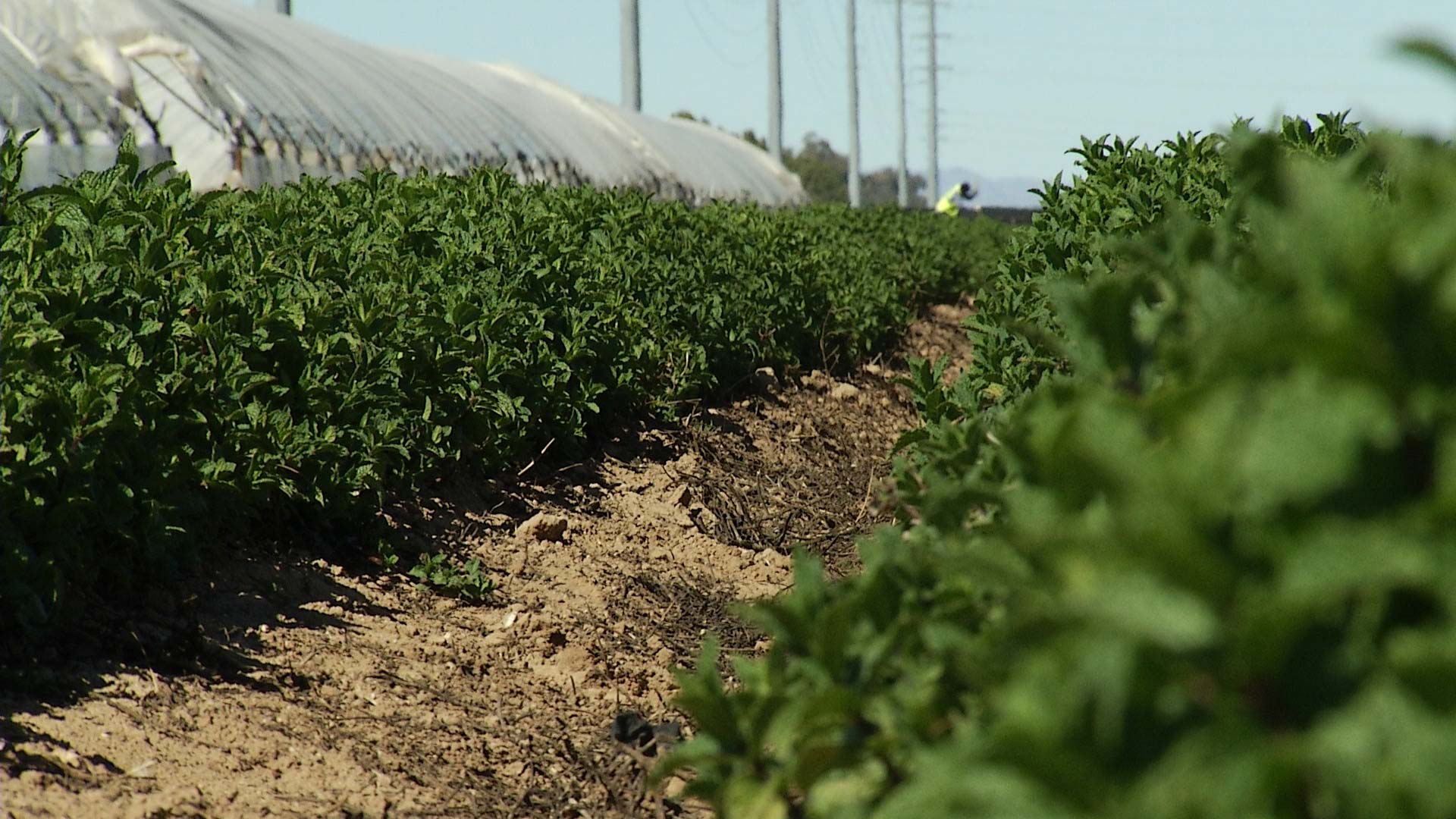 USDA Under Secretary visits Tucson to assist Tribal agribusinesses promote their products