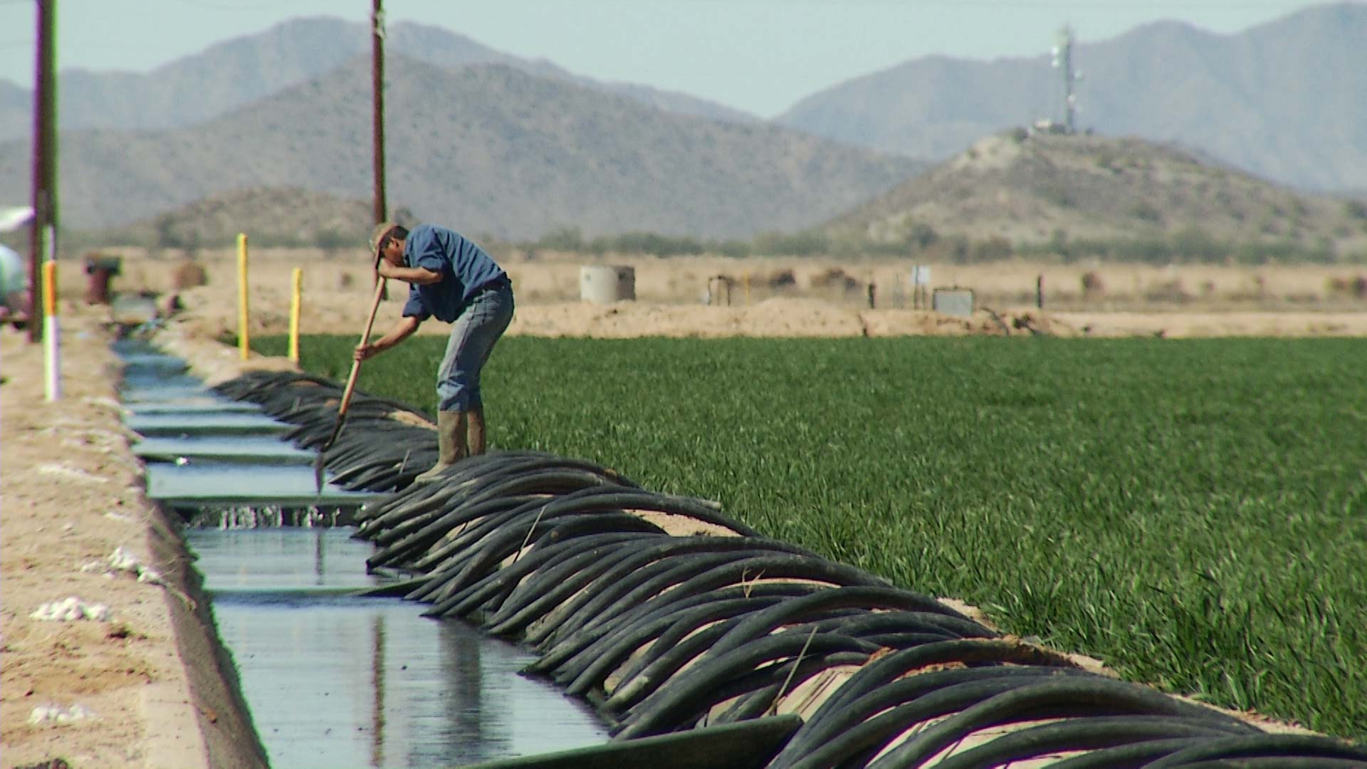 A farm in Central Arizona.