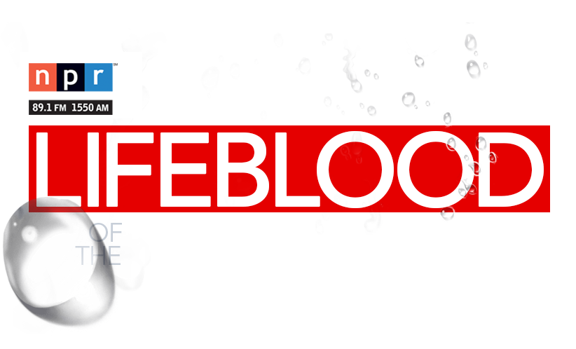 Lifeblood of the Desert