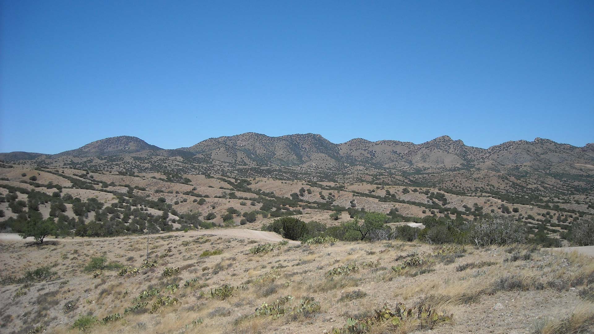 The proposed site for the Rosemont Mine.