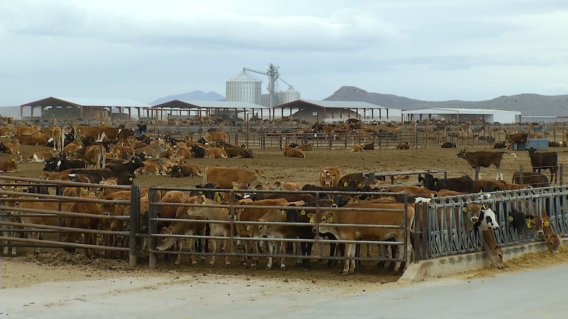 Arizona Attorney General Kris Mayes announces groundwater settlement in Cochise County