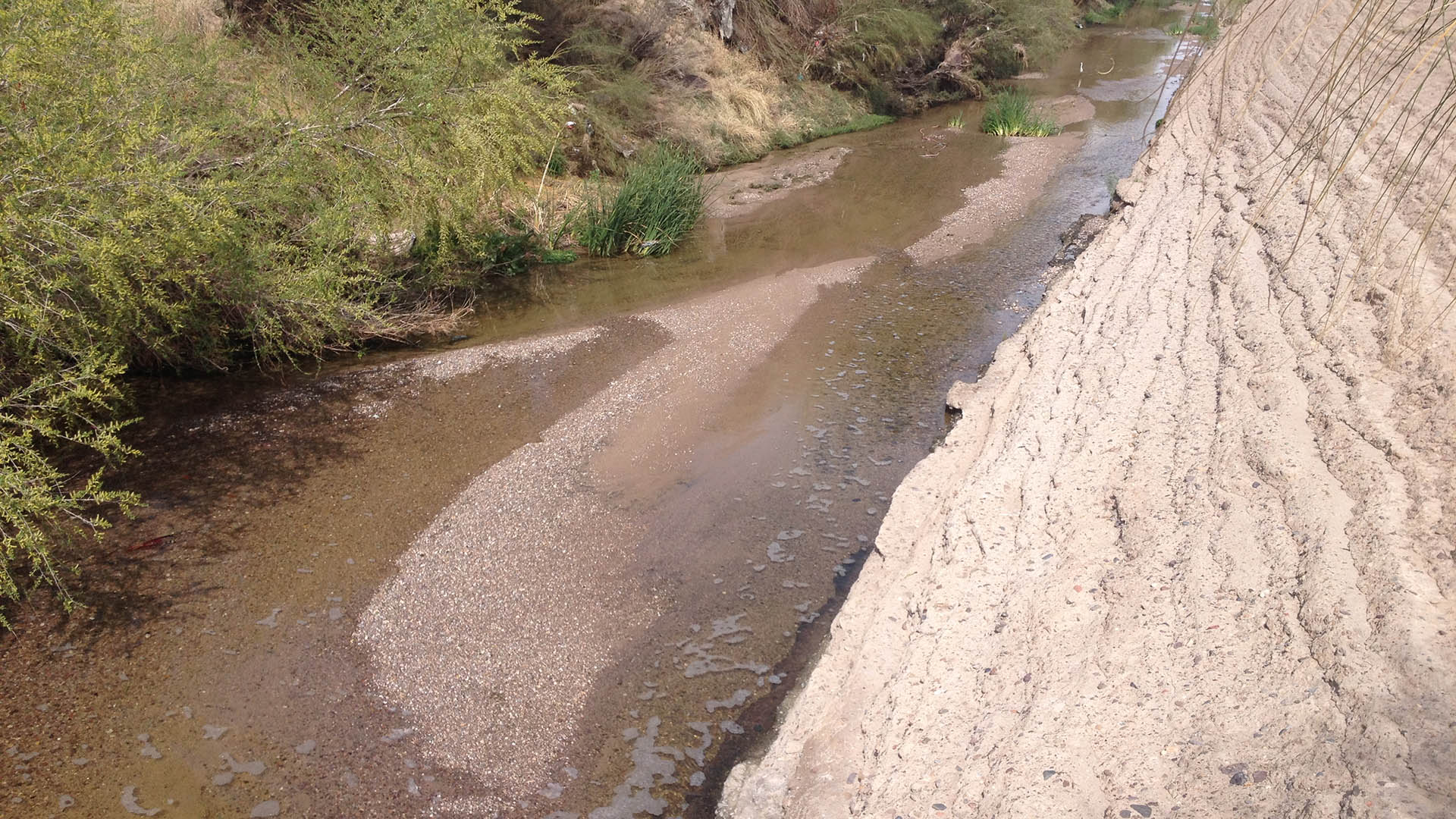 The Santa Cruz River flows downstream of the outflow from the Agua Dulce wastewater treatment plant.