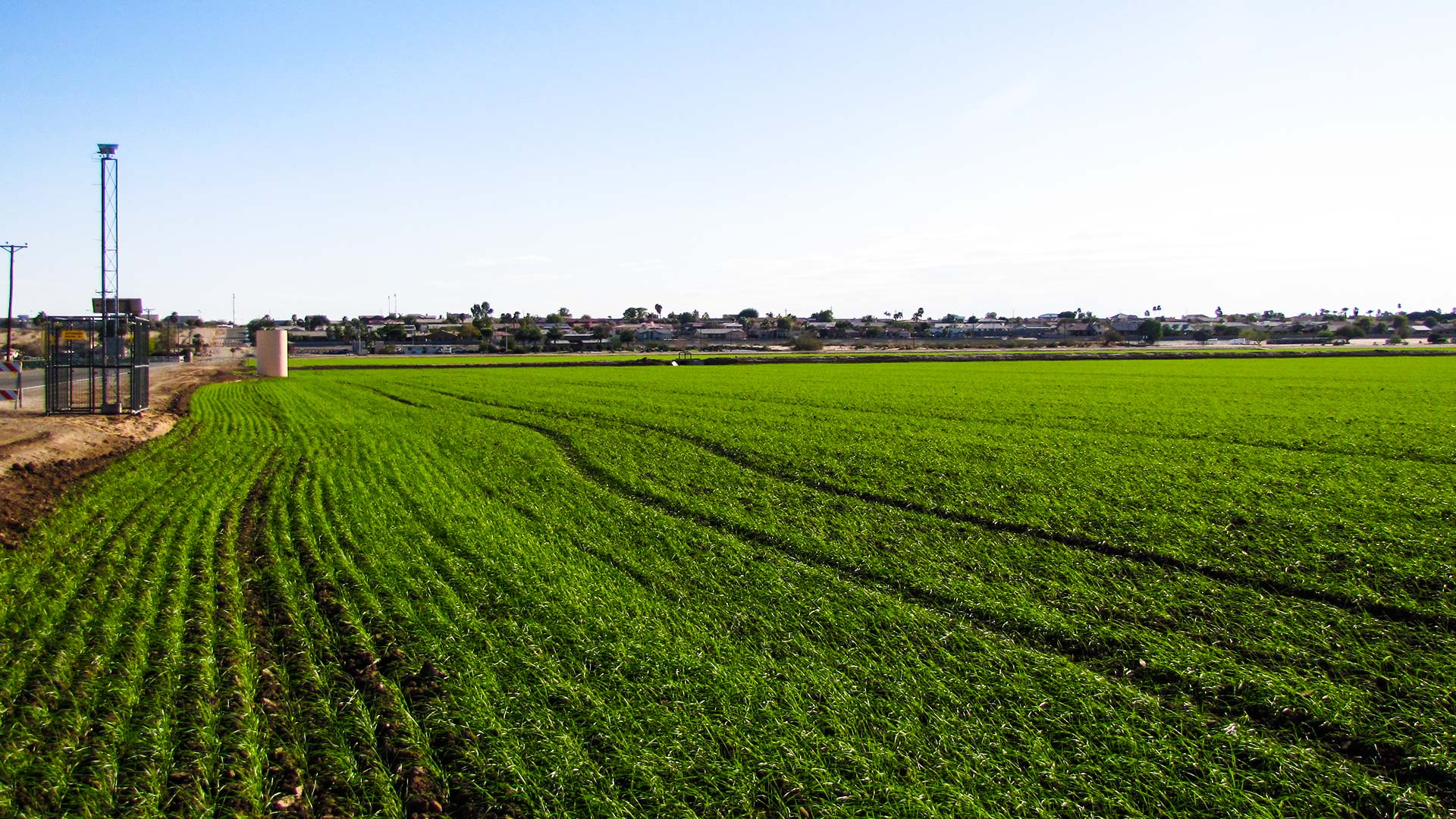 A Large Aperture Scintillometer stands beside a field planted with durum wheat.