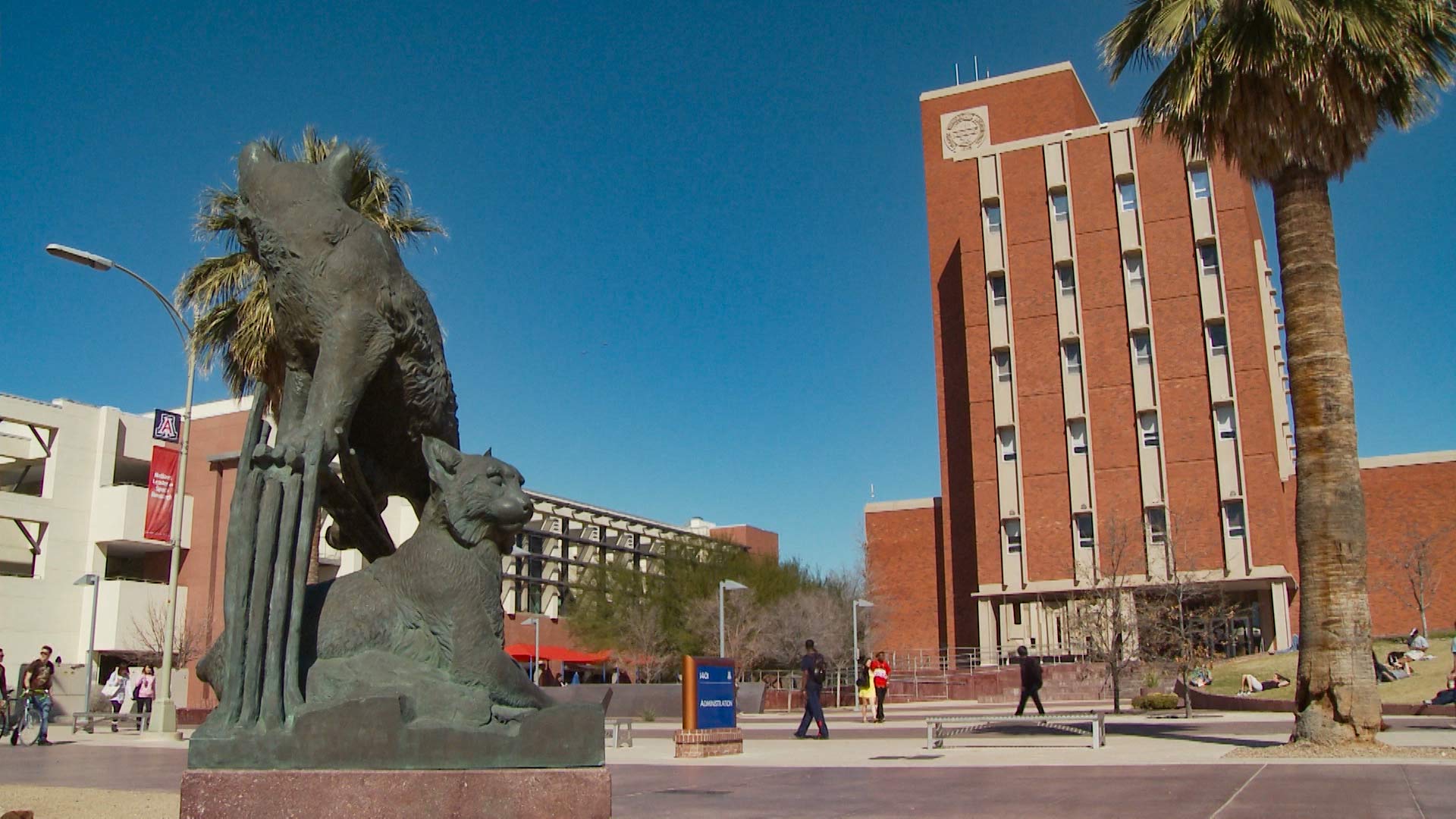 UA wildcat statue hero