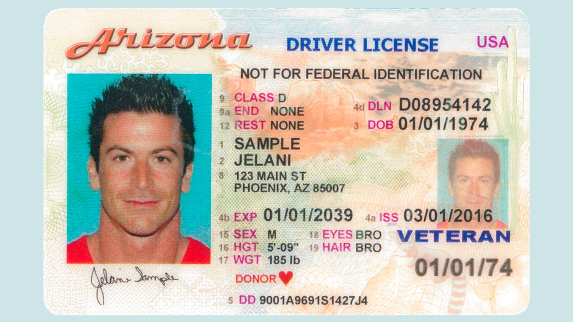 Example of an Arizona driver's license.