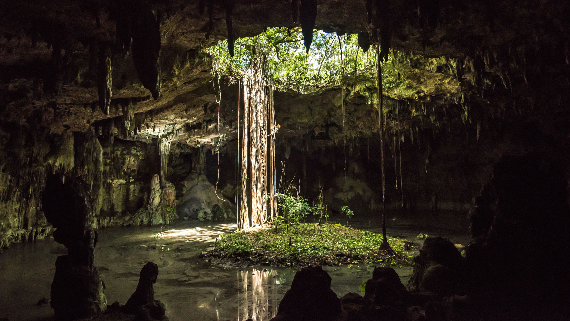 WONDERS OF MEXICO maya Cave forest hero
