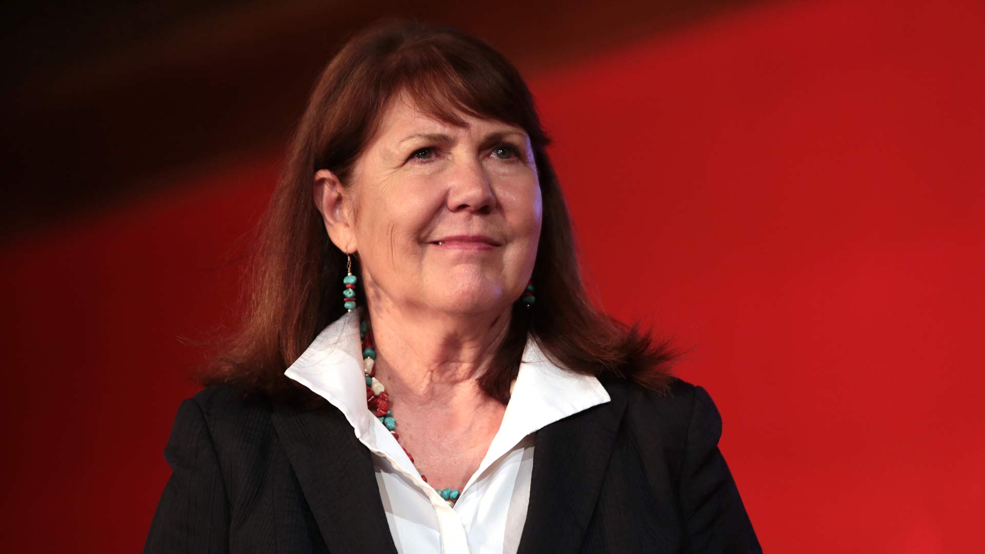 Ann Kirkpatrick hero