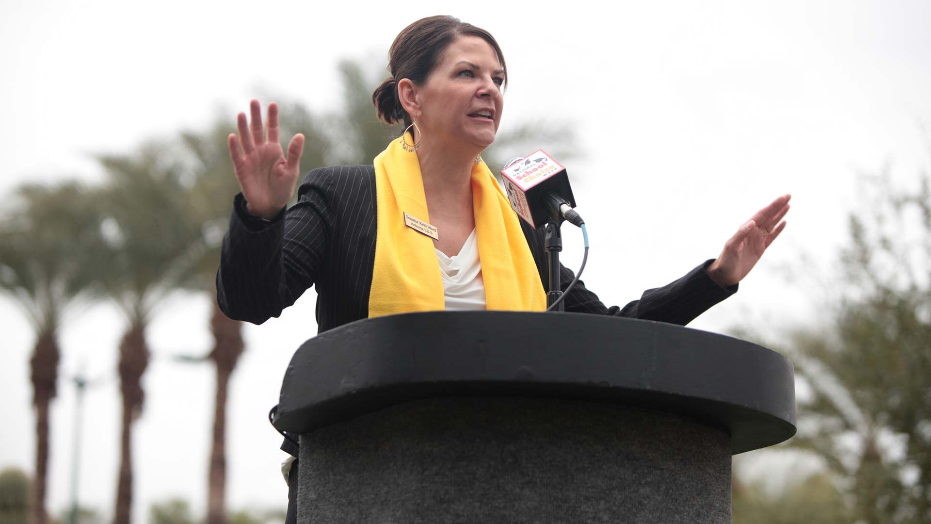 State Senator Kelli Ward speaking at the 2015 School Choice Week rally at the Arizona State Capitol building in Phoenix, Arizona.