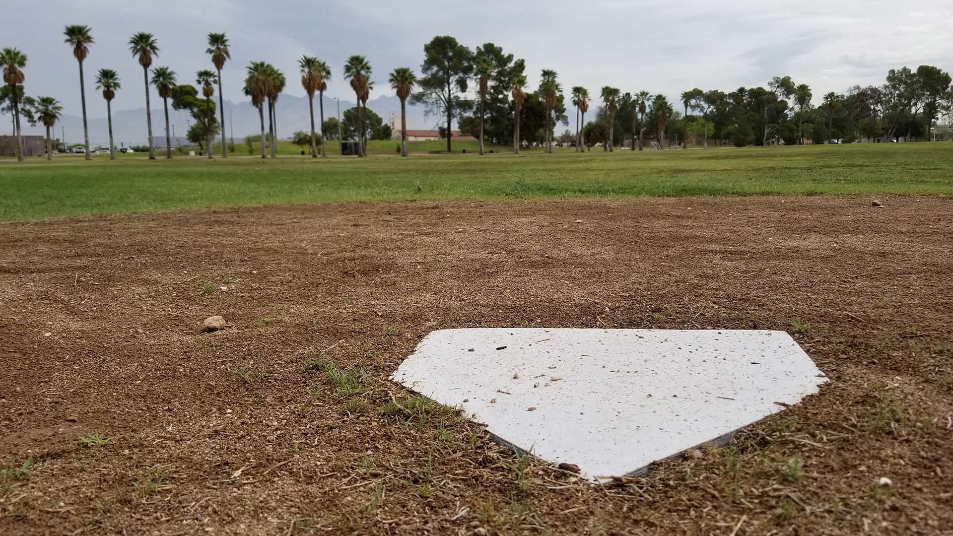 Behind home plate on a little league baseball field at Himmel Park. From July 2018.