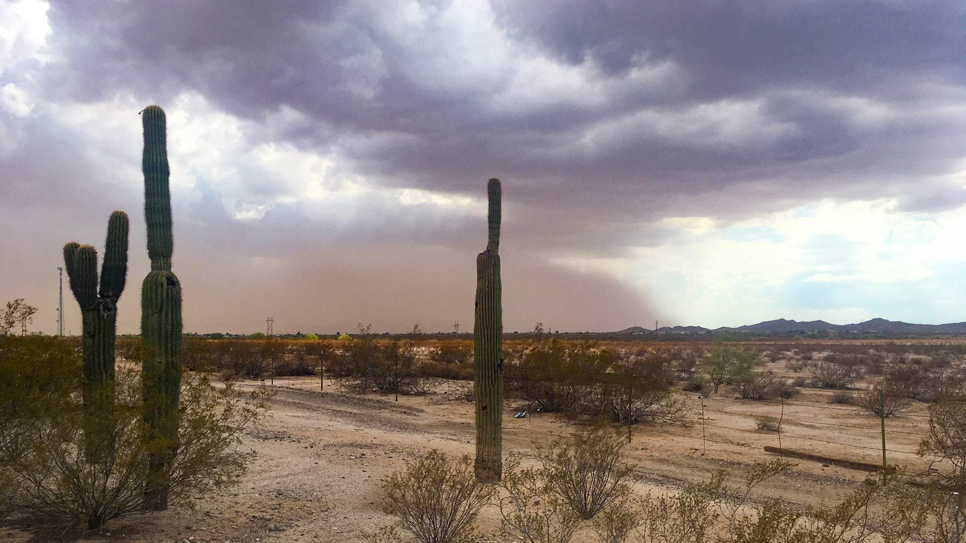 Looking west as a dust storm forms near Interstate 10 in Pinal County, July 10, 2018.
