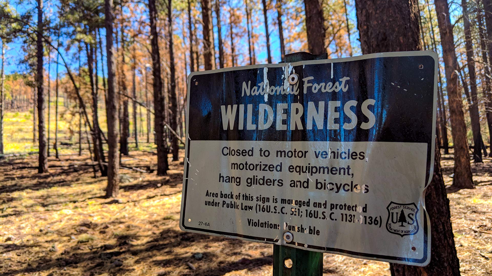 A National Forest wilderness sign in the the Kaibab National Forest, near Kendrick Peak in Northern Arizona.