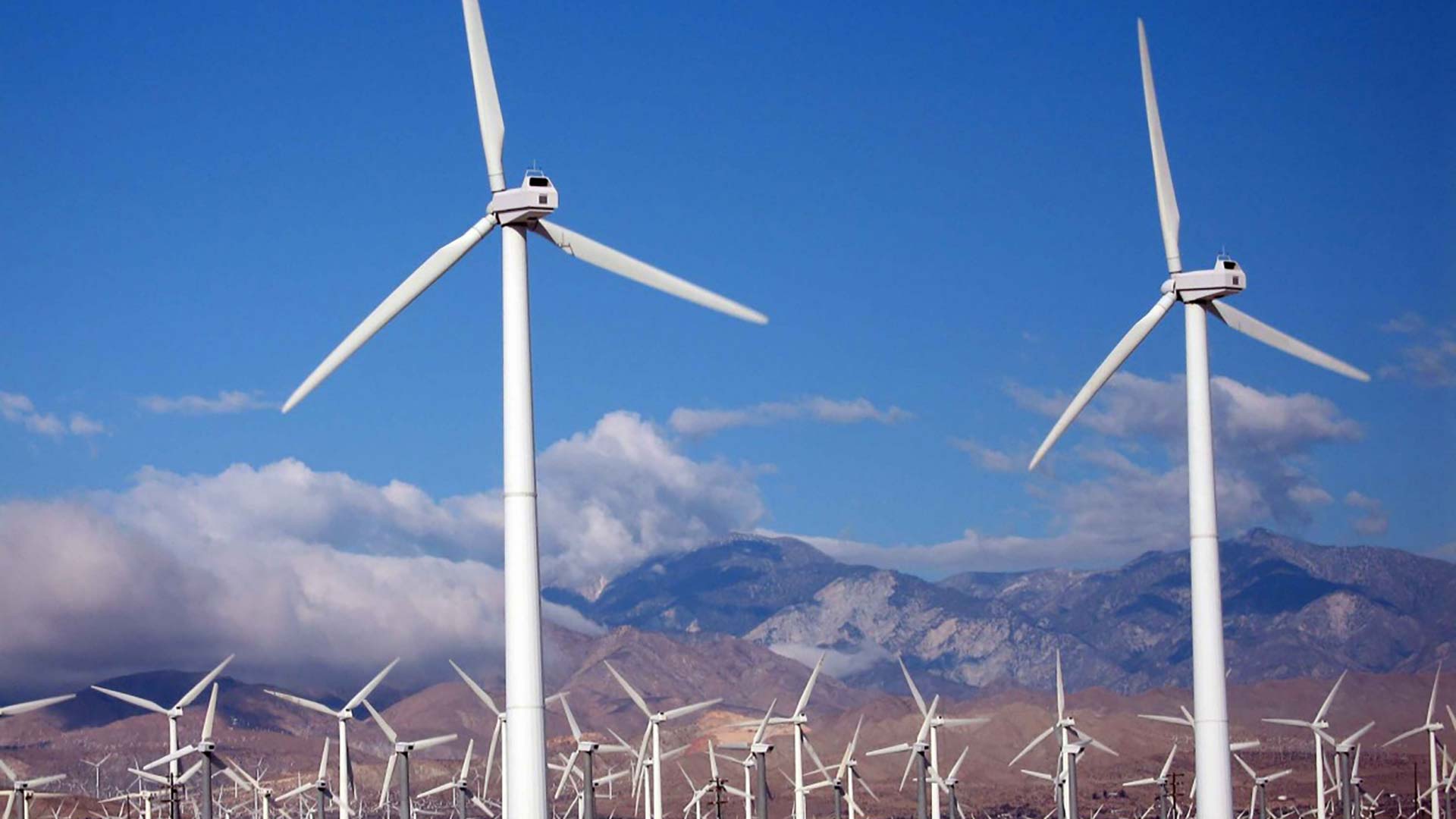 A close shot of wind turbines at a wind farm.