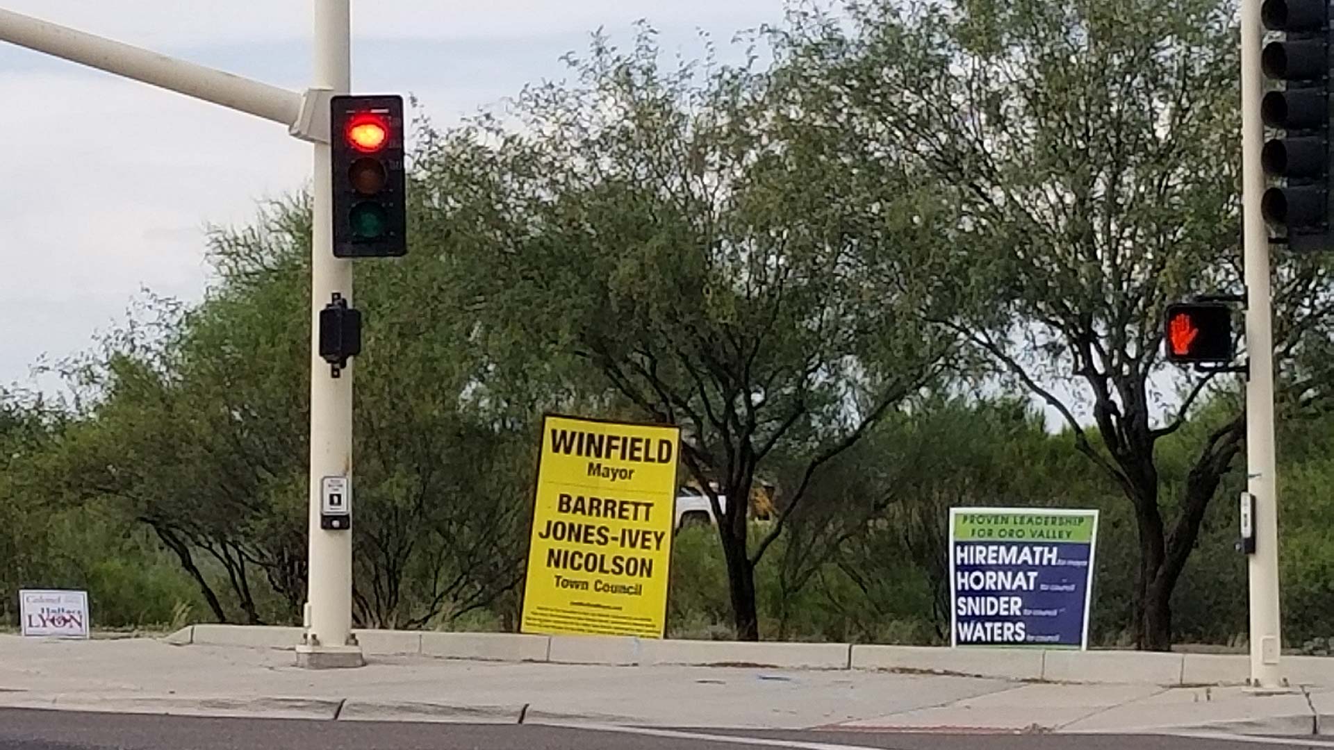 Local election signs in Oro Valley.