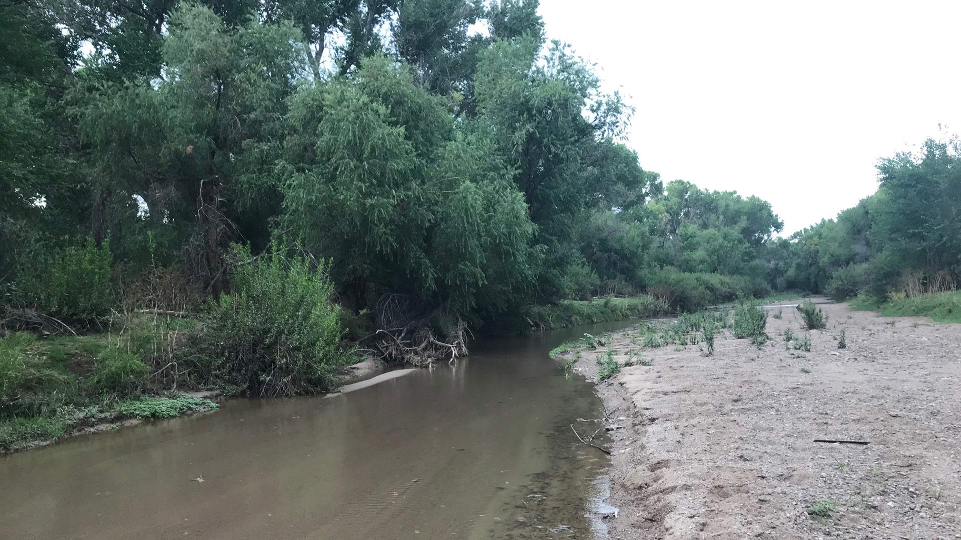 Santa Cruz River near Tubac, Arizona, July 20, 2018.