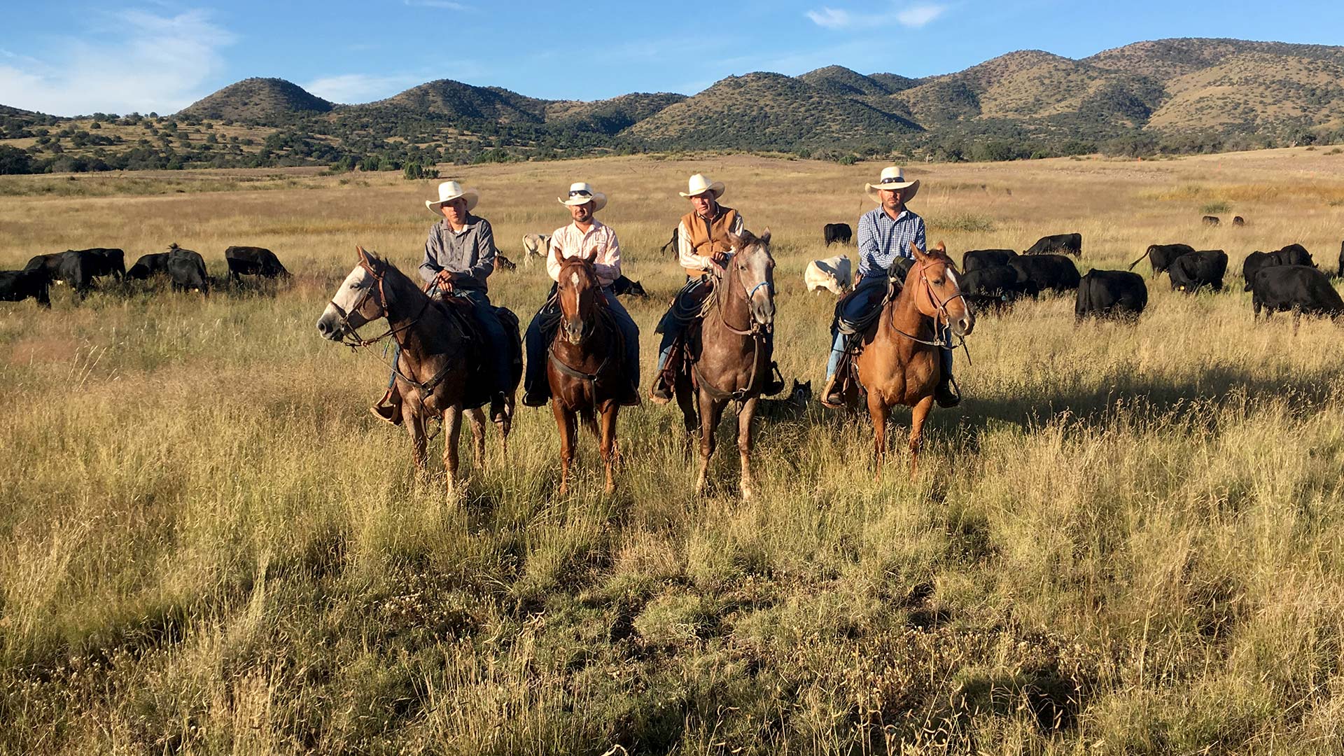 wonders of Mexico Burning north vaqueros