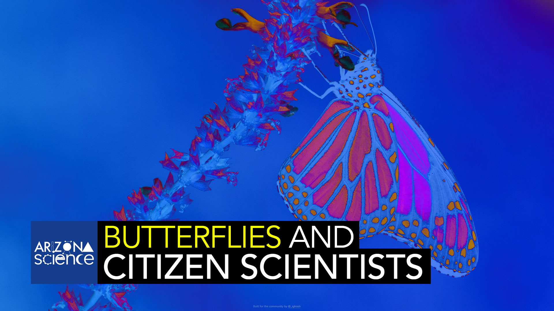 Citizen scientists are providing crucial field data on butterflies and pollination.