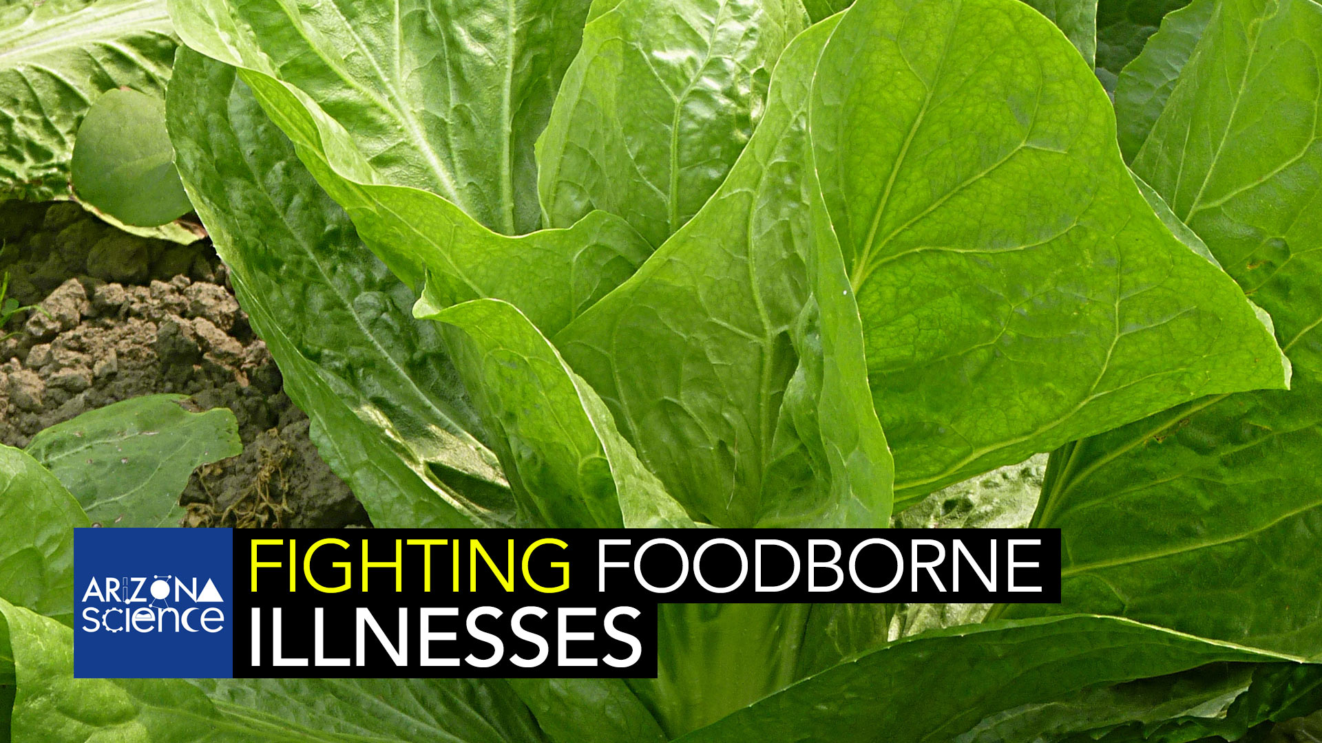 AZSCI 138 Foodborne Illness
