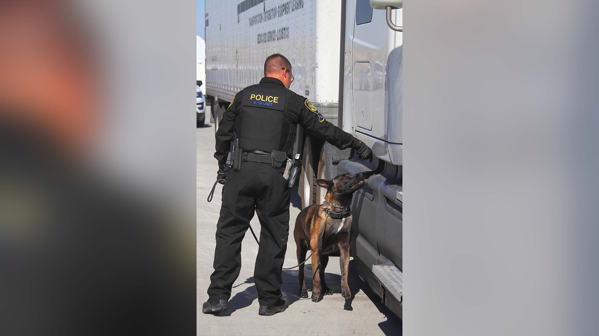 K-9 Unit With Officer 