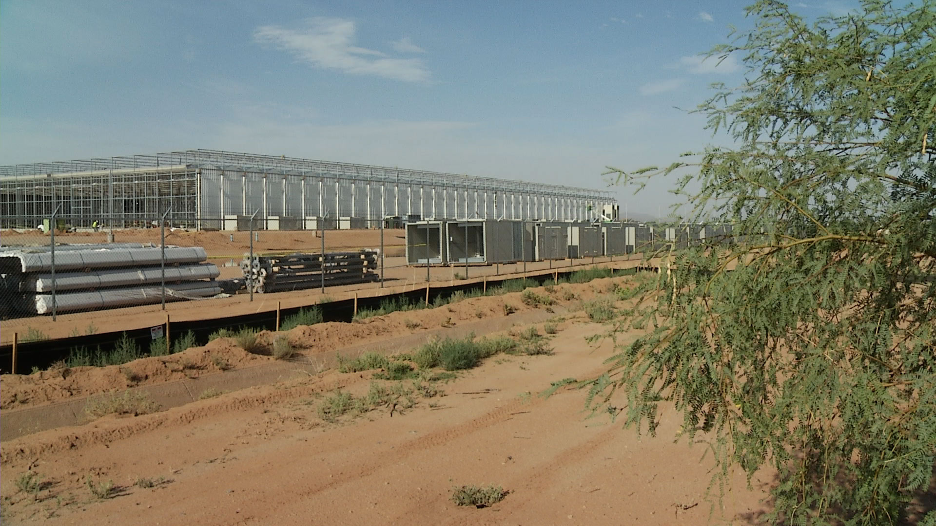 Monsanto's greenhouse, which is under construction, outside of Marana. 