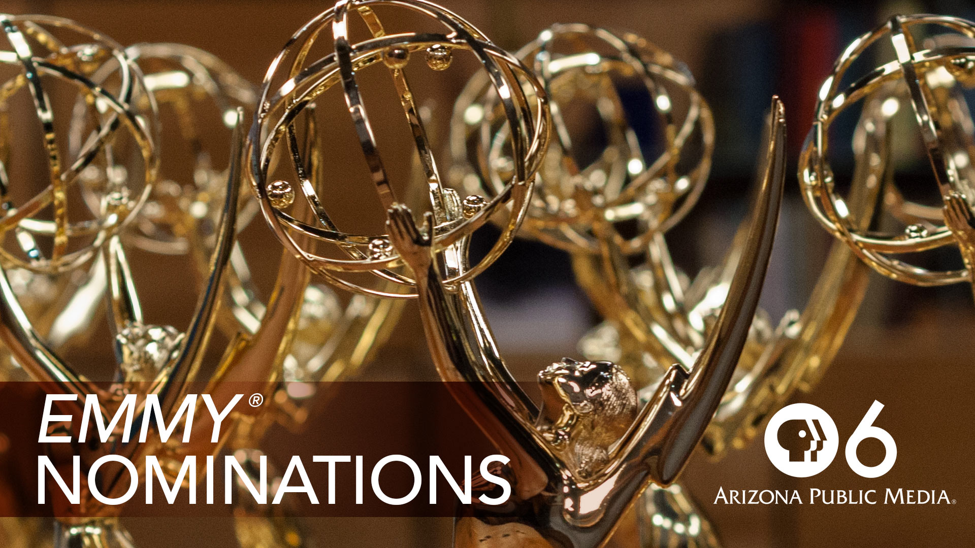 AZPM is proud to be recognized by The Rocky Mountain Southwest Chapter of the National Academy of Television Arts with 32 individual Emmy® nominations for 17 projects across 12 categories in 2019.