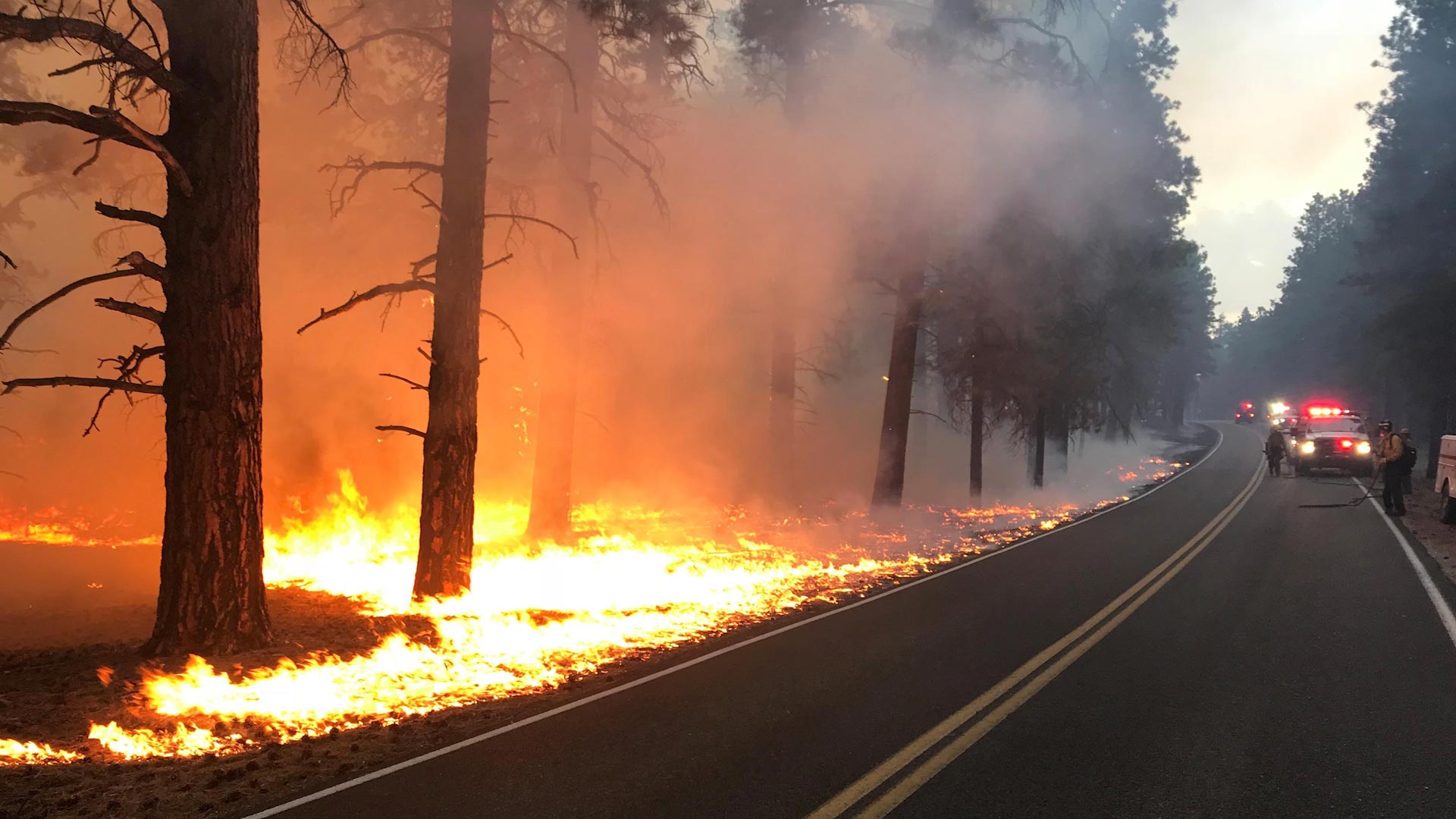 Flames from the Obi Fire run parallel to a highway. Lightning sparked the fire near Walhalla Plateau in Arizona on July 21, 2018. 