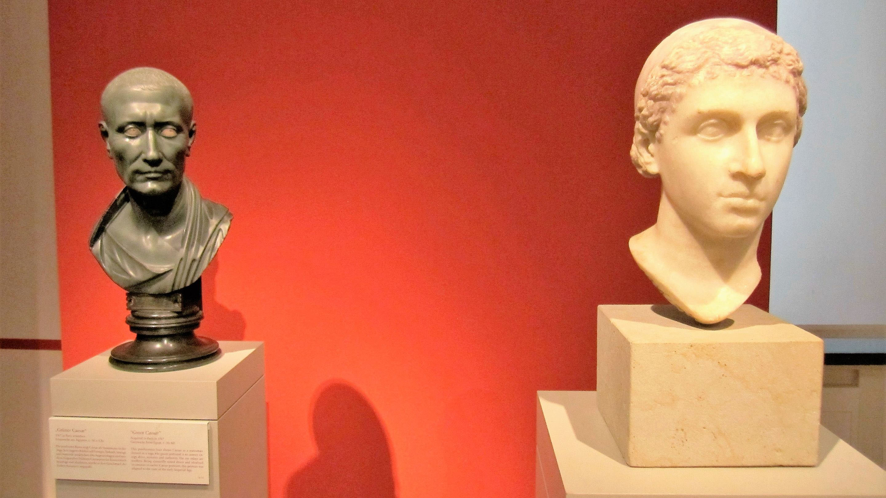 cleopatra and caesar busts spotlight