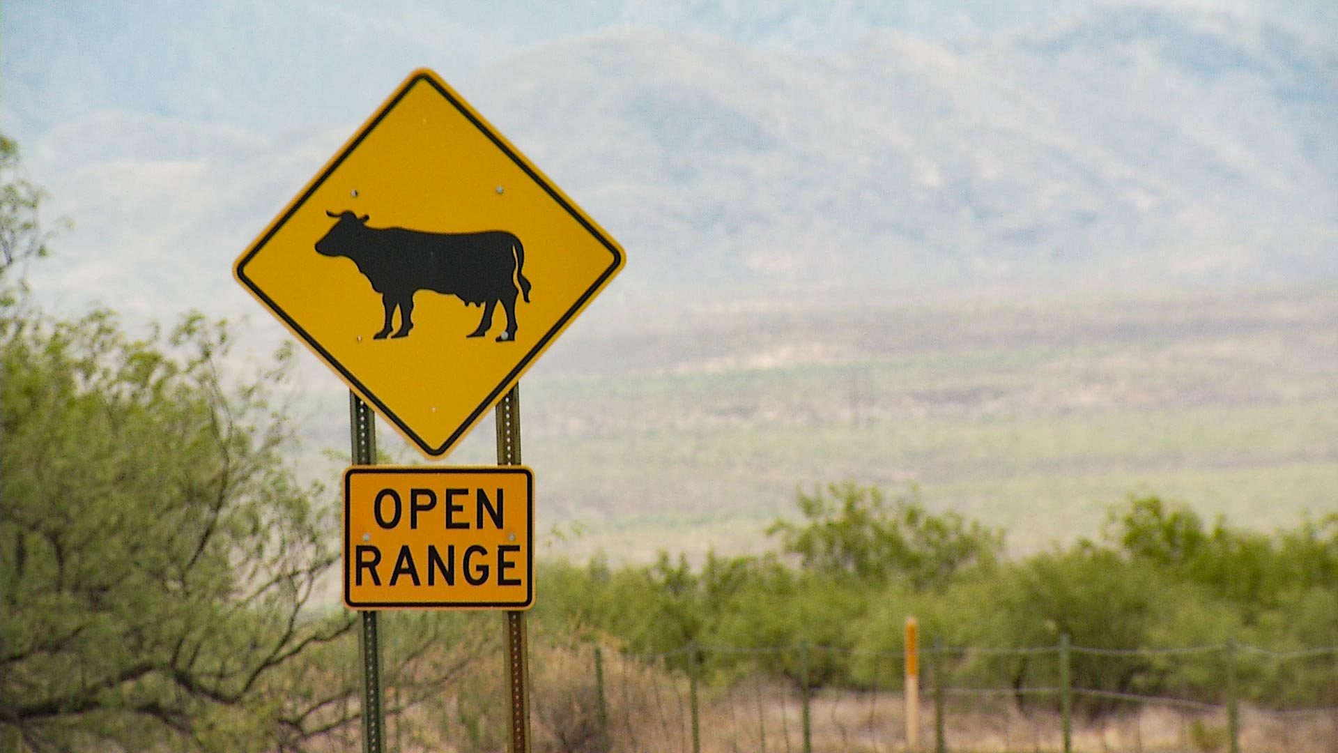 An open range sign near Arivaca.