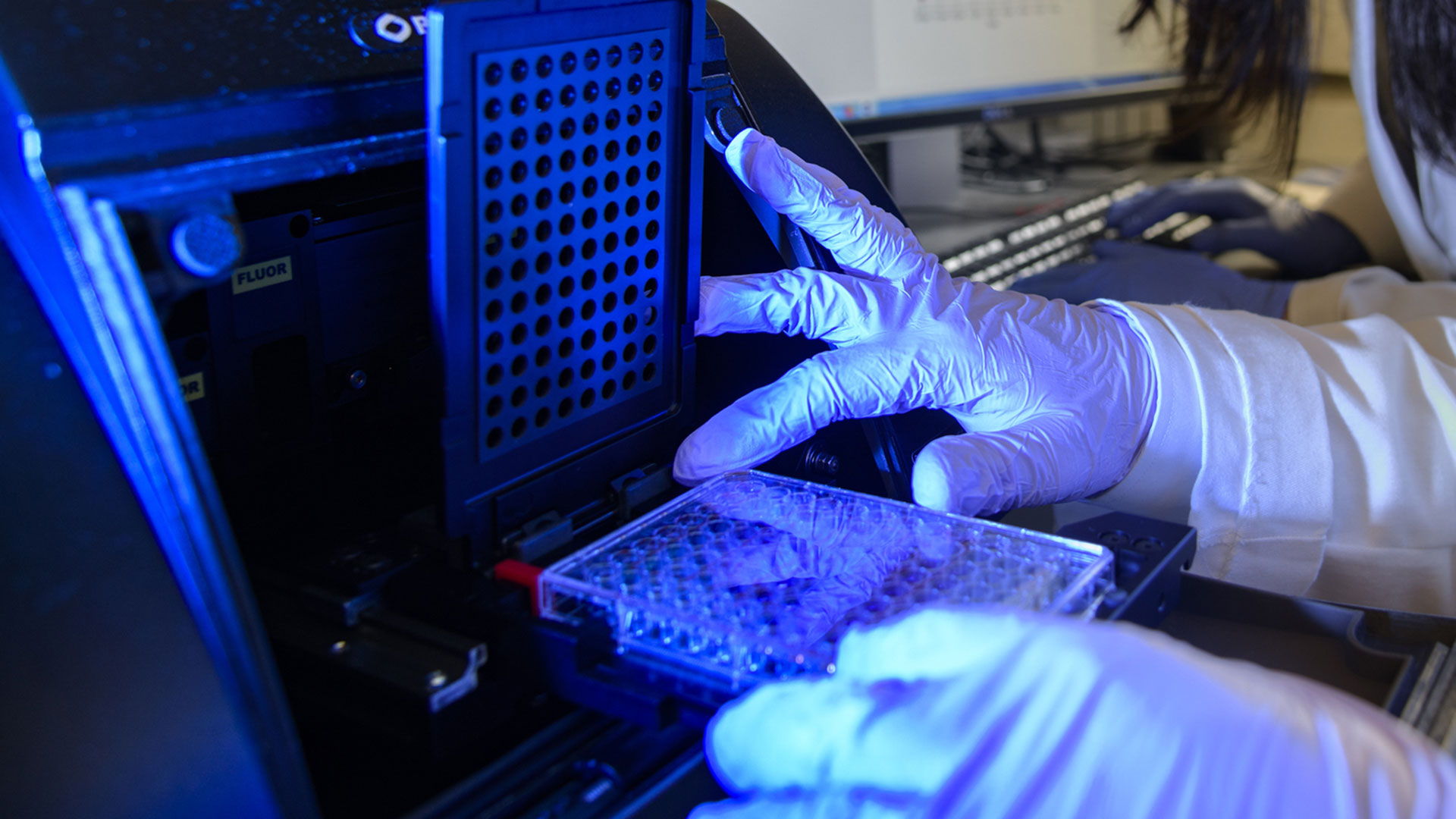 Scientists conduct research in the lab of Louise Hecker, an associate professor of medicine at the University of Arizona. 