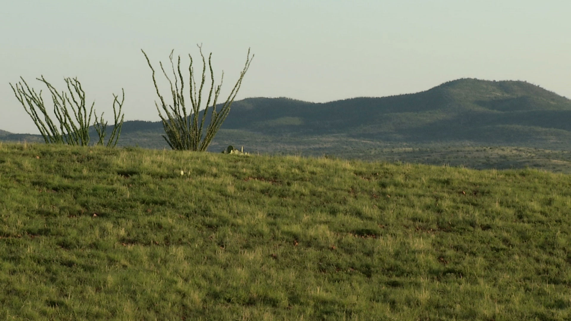 Buenos Aires National Wildlife Refuge encompasses nearly 118,000 acres southwest of Tucson and includes a stretch of the border with Mexico. 