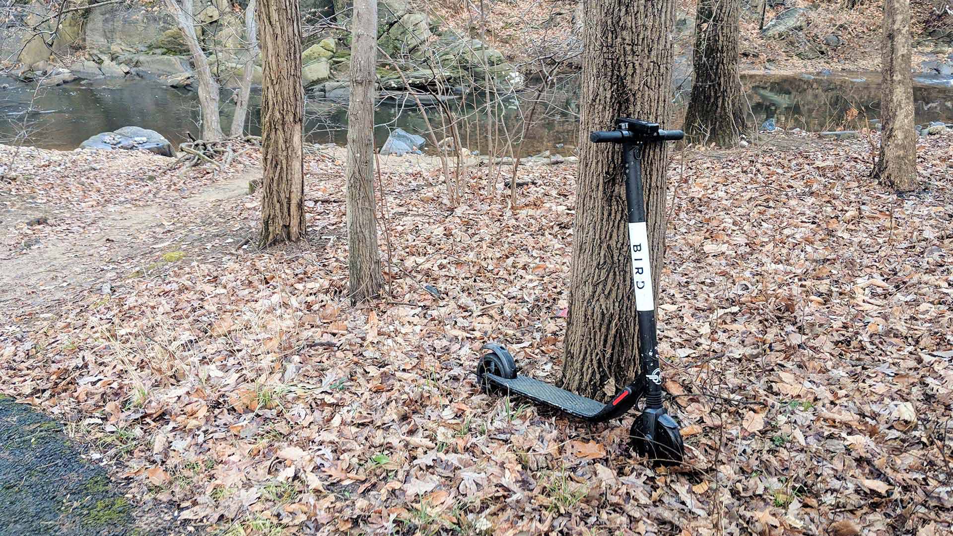 An e-scooter left beside a trail in a park in the Washington, D.C., area.