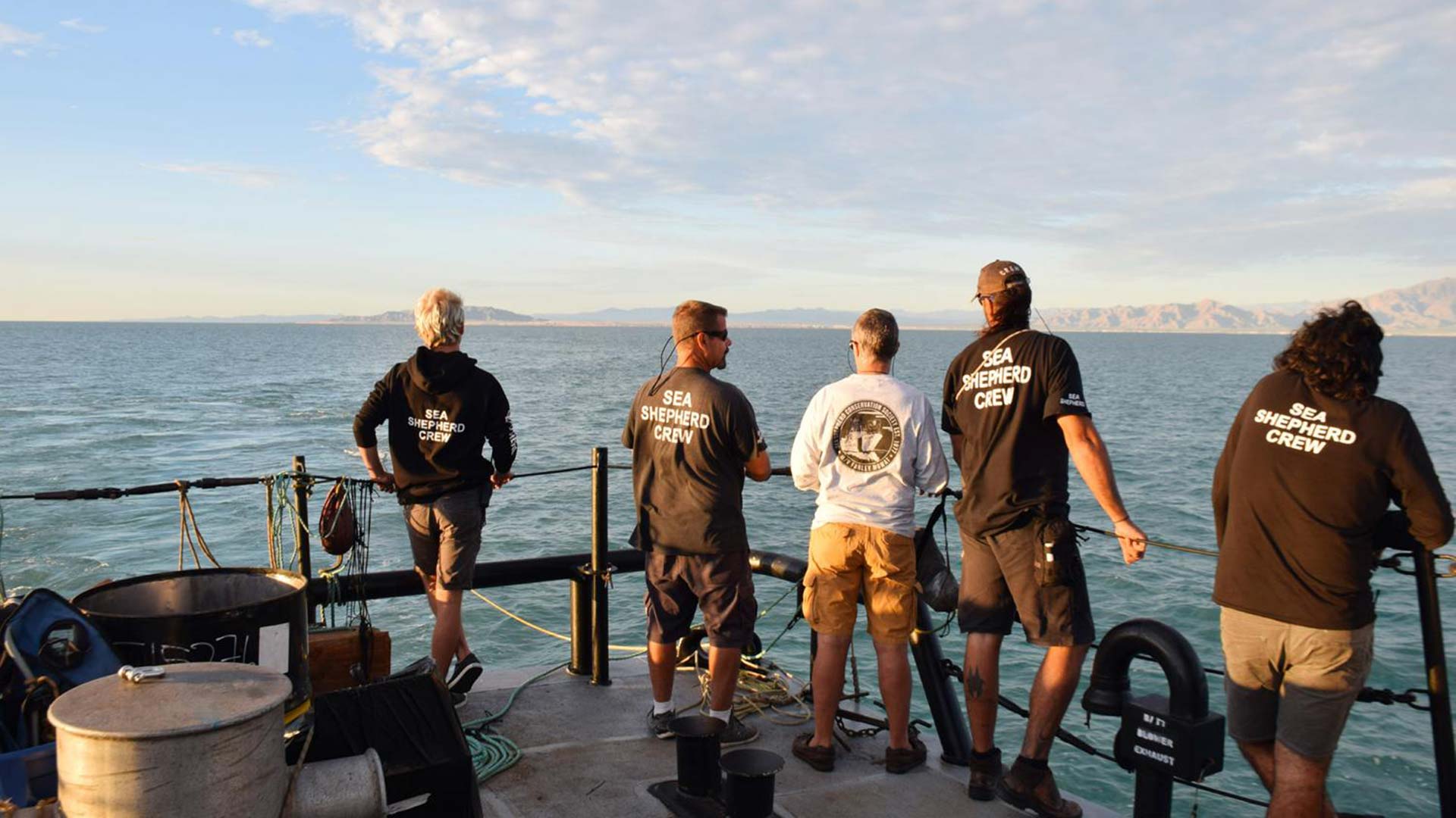 Crew members from Sea Shepherd Conservation Society's ship in the Sea of Cortez.