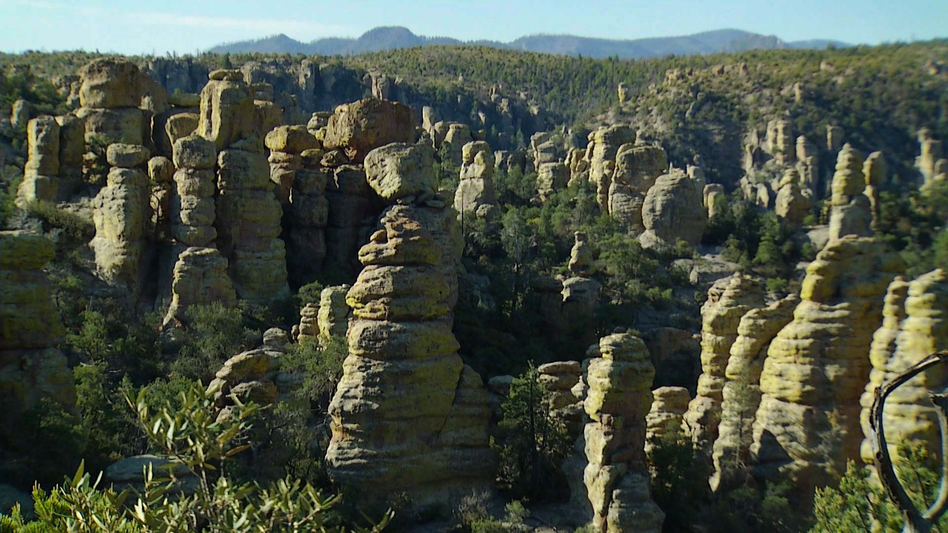 Chiricahua landscape