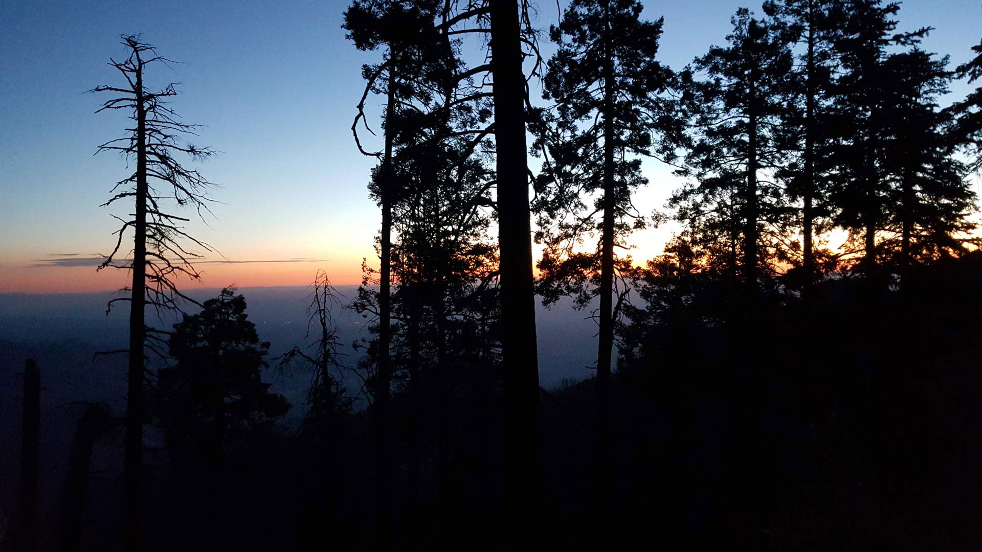 Sunrise on Mount Lemmon.