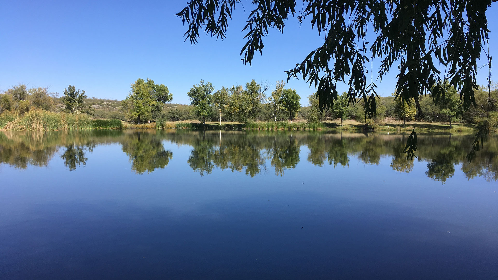 Slaughter Ranch Pond