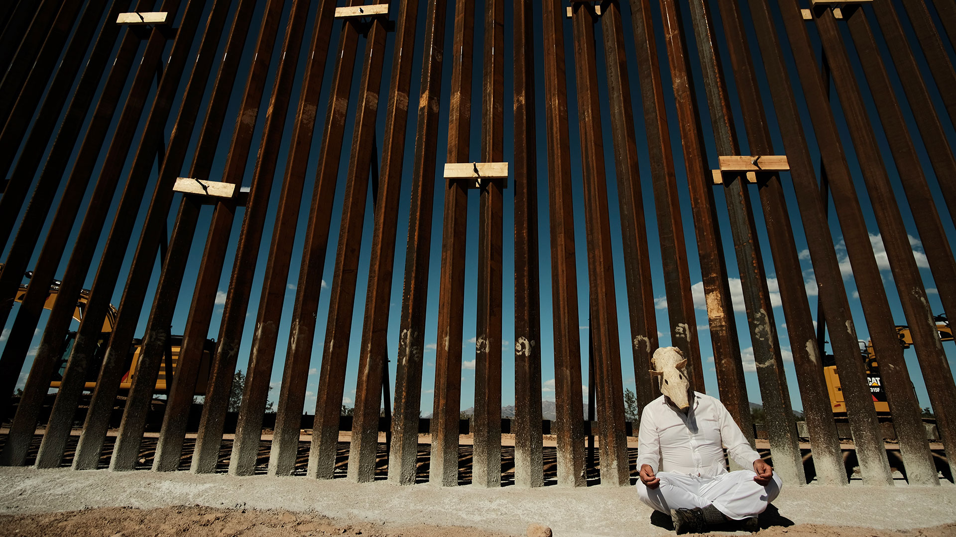 Artists at border wall javelina 