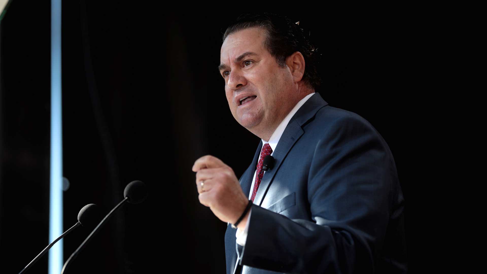 brnovich 2019